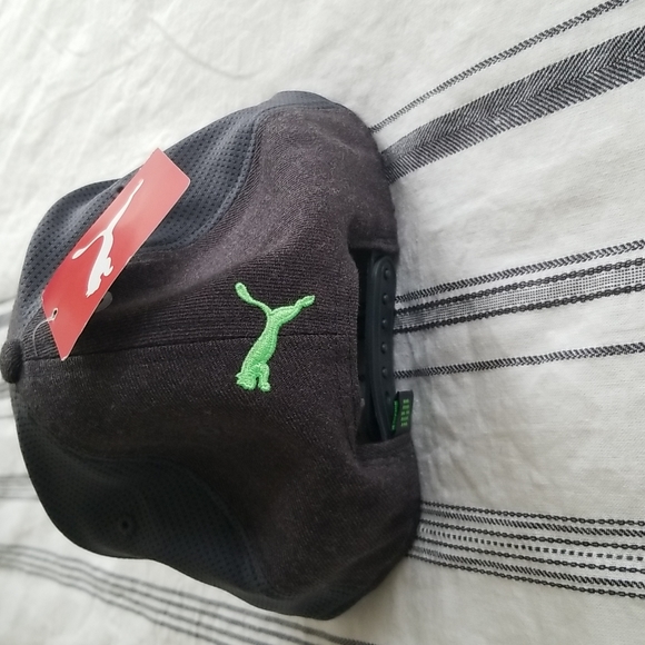 Puma - Picture 2 of 6